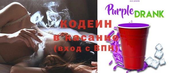 гашик Елизово