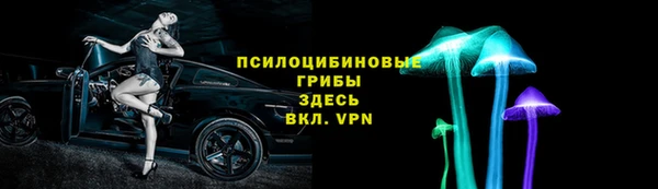 хмурый Елабуга