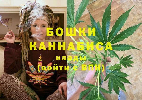 гашик Елизово