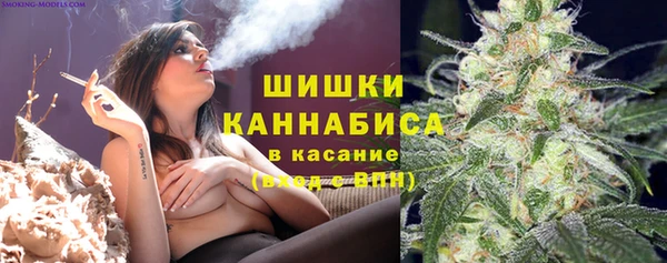 хмурый Елабуга