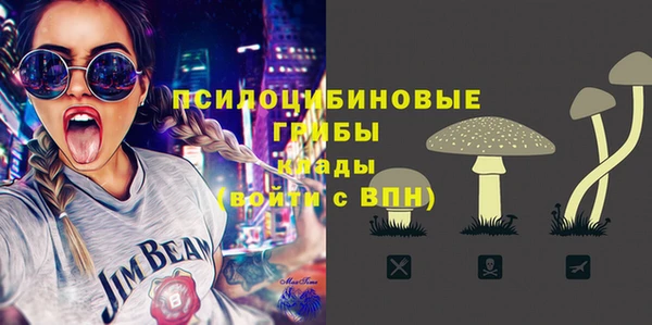 гашик Елизово