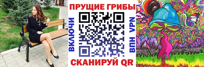 Галлюциногенные грибы Psilocybe  Железногорск-Илимский 
